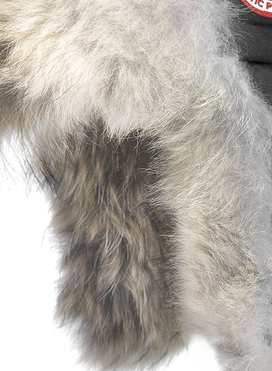 Aviator Hat Mens  Black data-zoom-image=