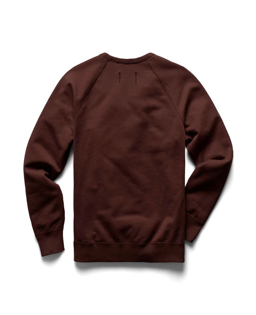 Midweight Terry Crewneck Earth data-zoom-image=