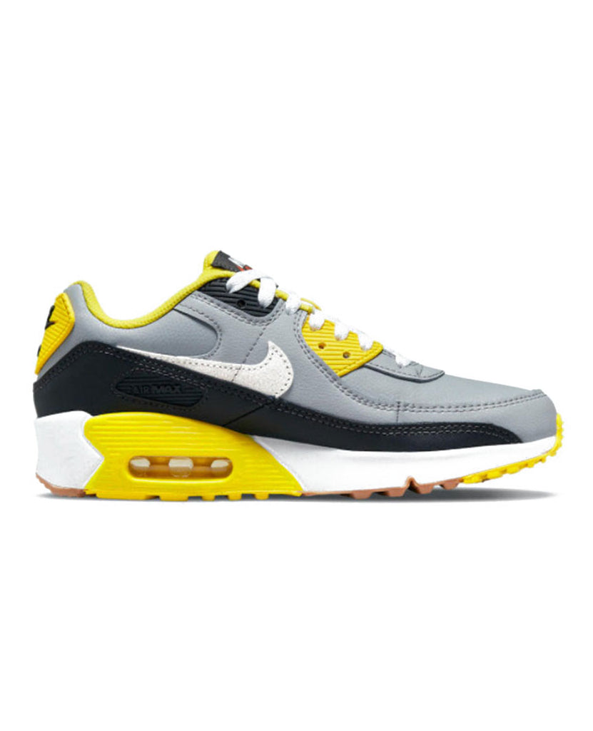 Air Max 90 LTR GS  "Go The Extra Smile" Wolf Grey data-zoom-image=