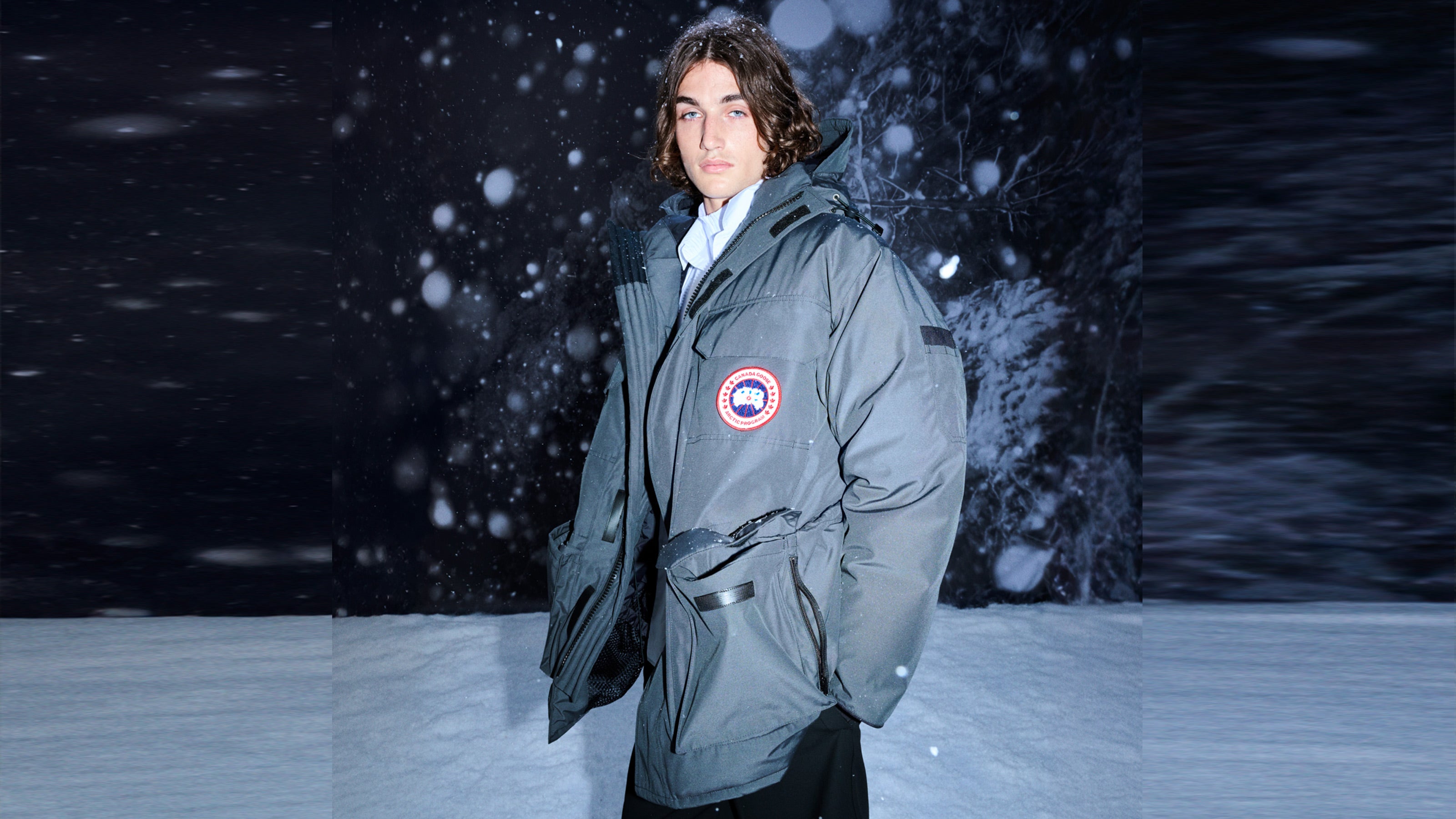 Winter season has arrived by Canada Goose